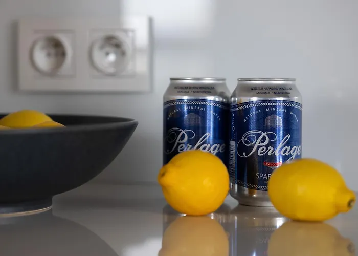 Powsinska Luxury With Air Conditioning In By Renters Prestige 华沙